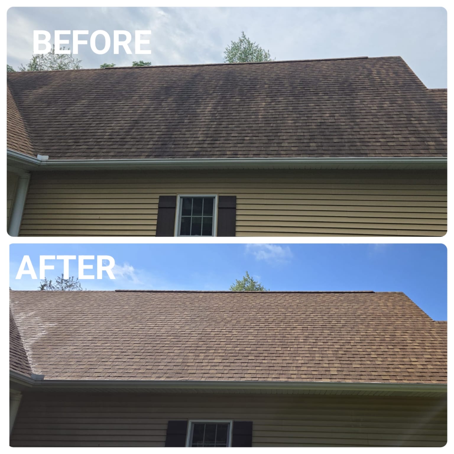 Roof Cleaning  in Marshall, Mi